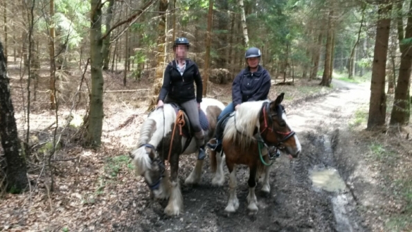 31d1fd9f-90a2-4882-a74d-99f51008a524