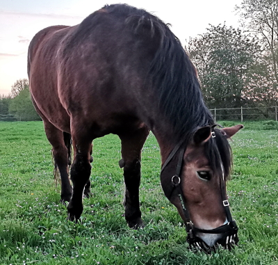 IMG_20210513_211307[1]