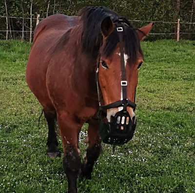 IMG_20210513_211426[1]