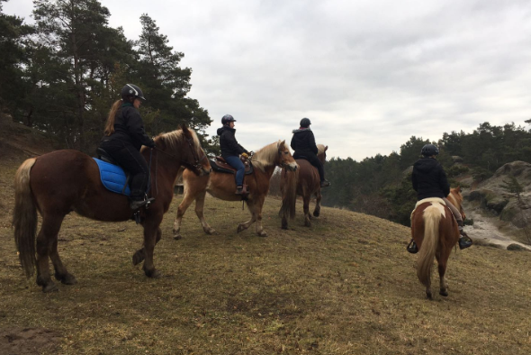 1f906bf3c9a24e10932bc833a9e91244