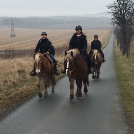 38e106fe1b5a4dbe8d210790b89d0c97