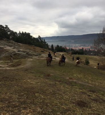 4a8ed771134d49759d53d7ad34ca87a4