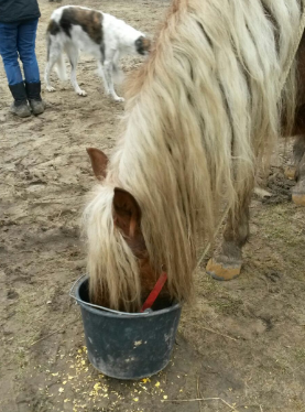 733a05e872874a338a9ce1b596f99b69 (1)