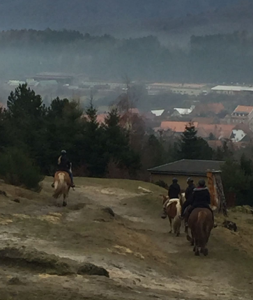 7842b0b97f134182816a666320e0cc8a