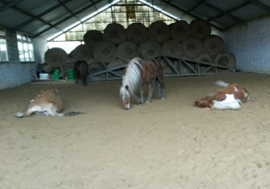 ebb8425283114d669fc3a32753e29596