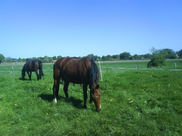 db24e0c97bd737205ac4436e63f55d19