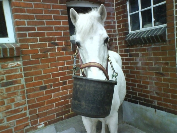 06e6930963ffb05dbfb4ae2db8c4ca96