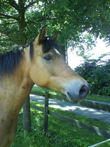 543822322d910527afe610988f9798d1