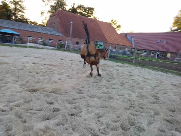 20181022_173327_Burst05