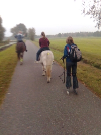 20081202_1792192821_bild030